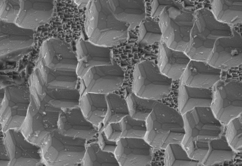 SEM image showing crystallographic faceting on 430SS grain surfaces after over-etching, with Wulff construction crystal faces clearly visible